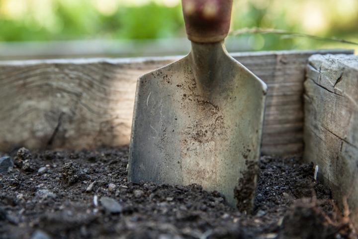 hand trowel in the dirt